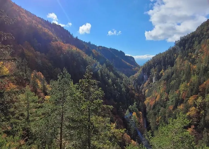 Апартаменты Lusa - New In The Centre Of The Town *